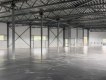 Минифотография
                Магазин